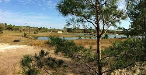 Tiny photo for 54523 Astor Transfer Station Road, Astor, FL 32102 (MLS # R4910928)