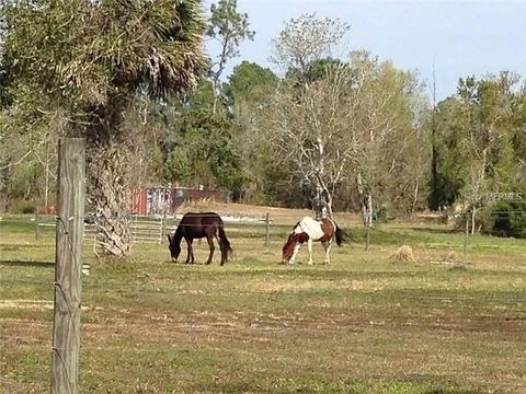 Tiny photo for 54523 Astor Transfer Station Road, Astor, FL 32102 (MLS # R4910928)