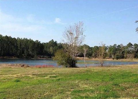 Tiny photo for 54523 Astor Transfer Station Road, Astor, FL 32102 (MLS # R4910928)