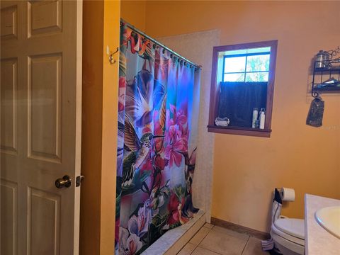 Tiny photo for 54523 Astor Transfer Station Road, Astor, FL 32102 (MLS # R4910928)