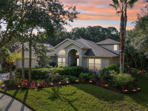 A home in TAMPA