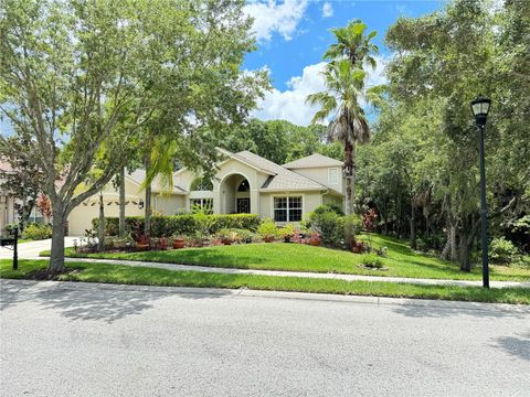 A home in TAMPA