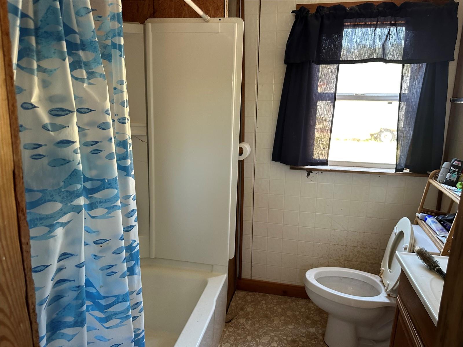 OCALA FOREST COMPSITES PINETREE - Residential