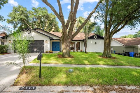 A home in VALRICO