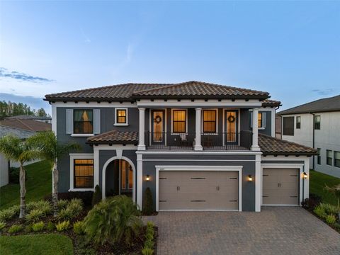 6009 MARSH TRAIL DRIVE ODESSA FL 33556