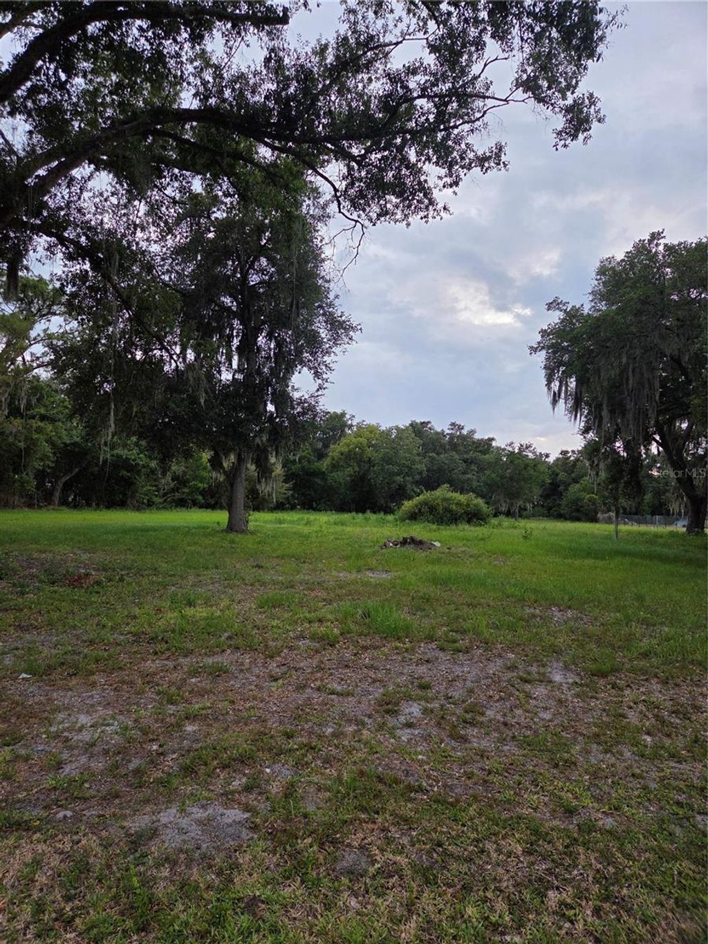 Photo of 10716 Mcintosh Road, Thonotosassa, FL 33592 (MLS # TB8518015)