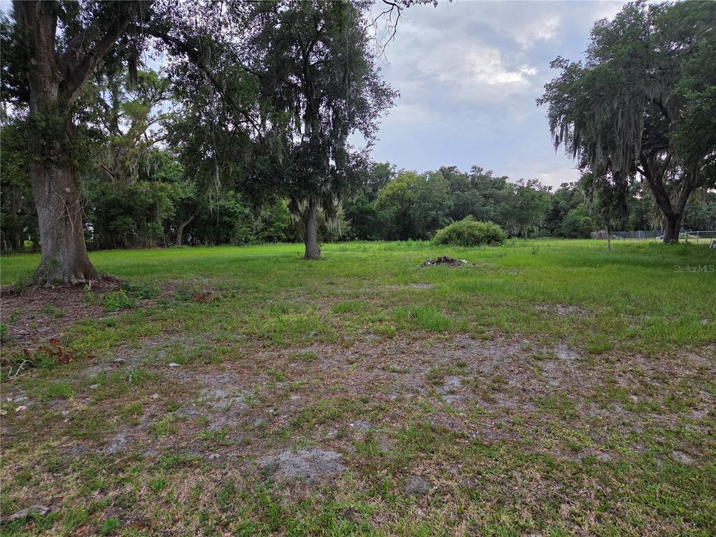Photo of 10716 Mcintosh Road, Thonotosassa, FL 33592 (MLS # TB8518015)
