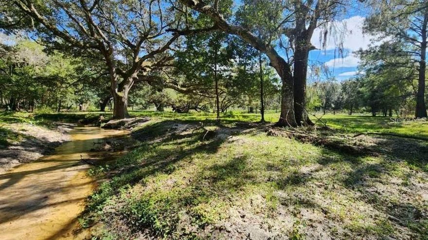 If neighborhoods are too crowded for your liking, then you will be in awe of this beautiful and secluded 10 acres of wooded property. The most amazing thing located on the property is a spring-fed flowing creek. This calming creek runs through the property allowing you to access the creek from all sides. The frontage property is clear of trees which would allow for a great home site. The large oak hammocks make for naturally shaded areas throughout the property. If you enjoy observing wildlife then you will love seeing the deer that access this property to drink from the cool creek.