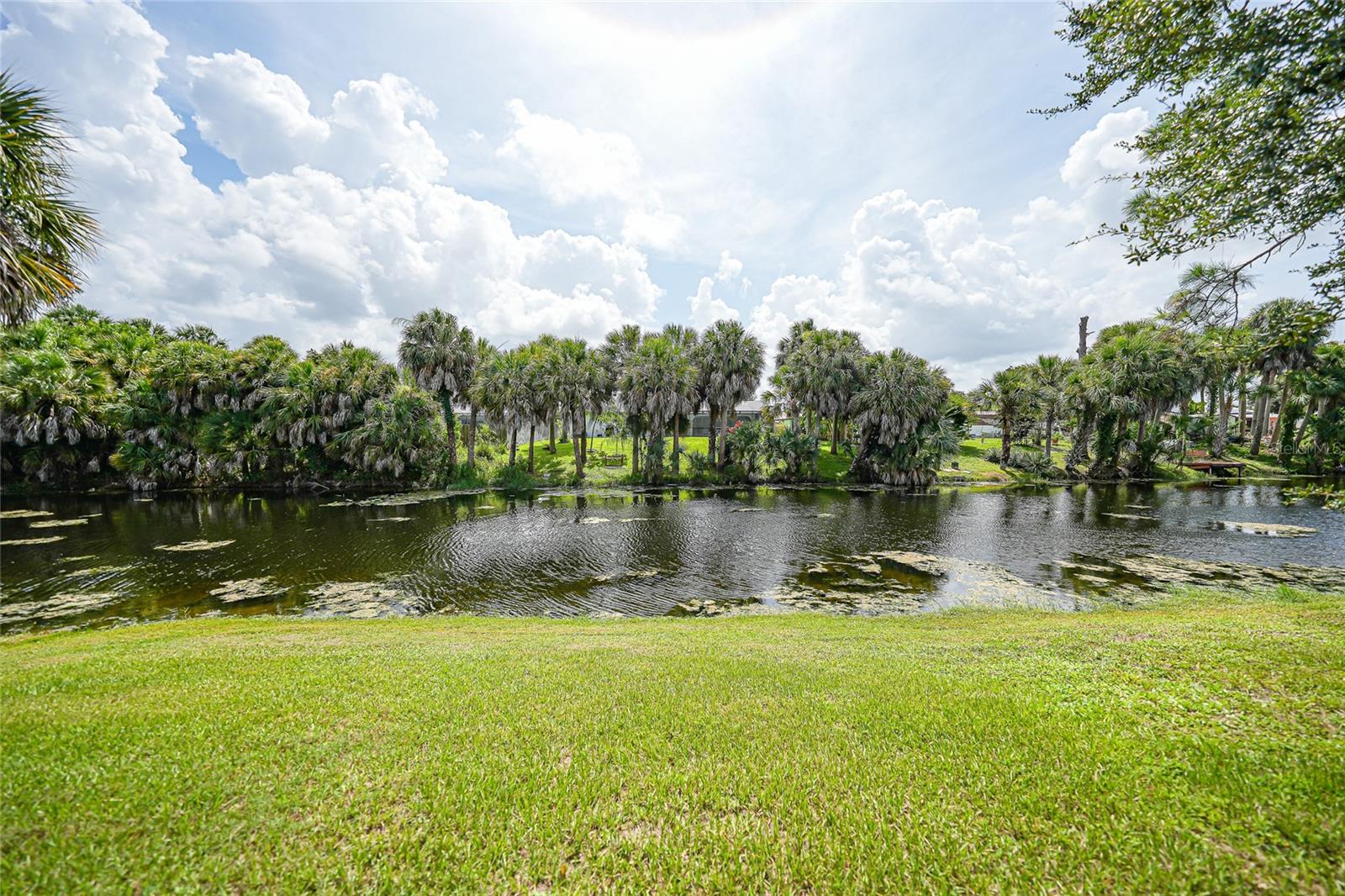 Search Properties for Sale 1 1182 YORKSHIRE STREET