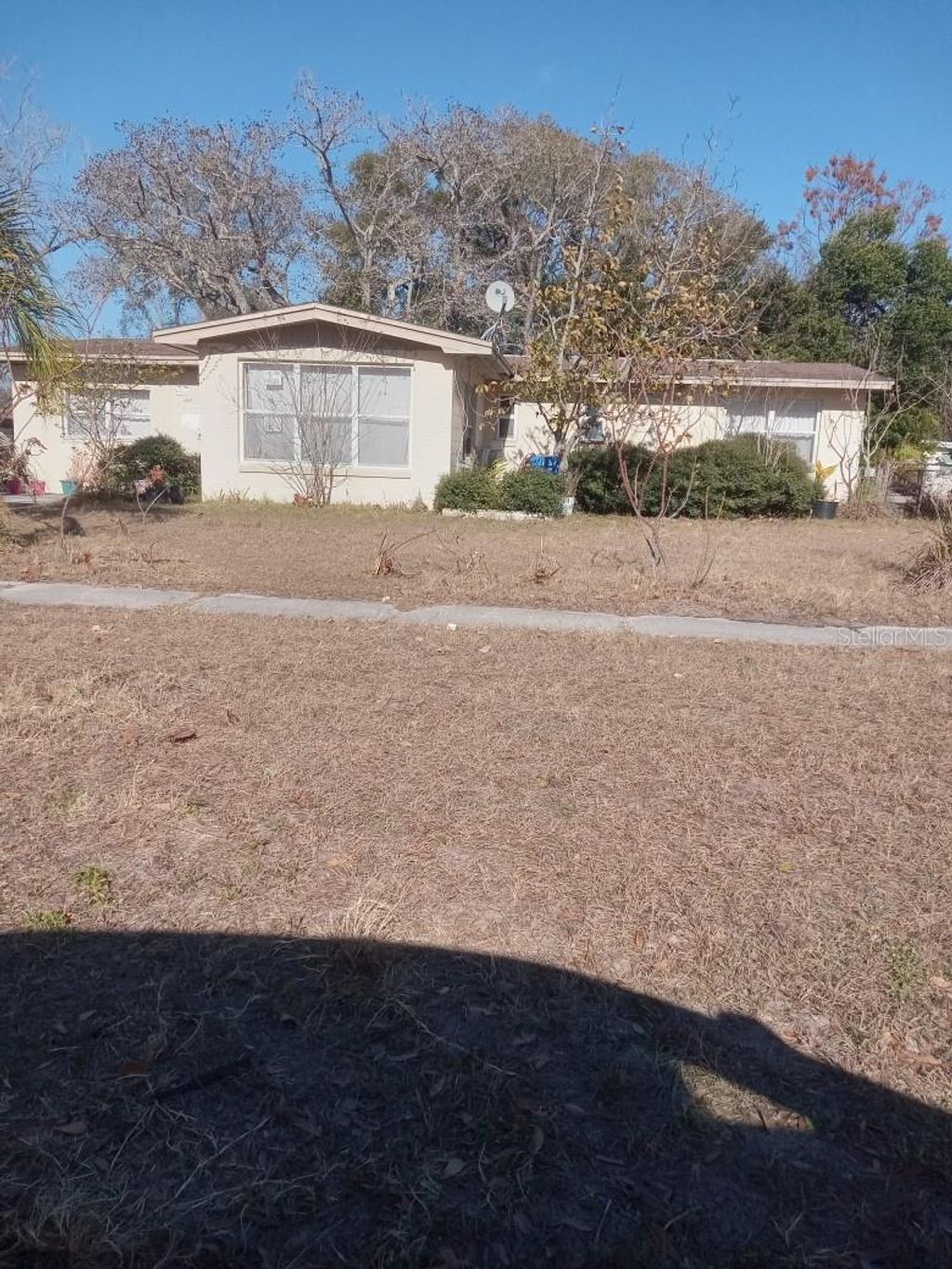 Photo of 6917 Bream Street, Tampa, FL 33617 (MLS # A4682261)