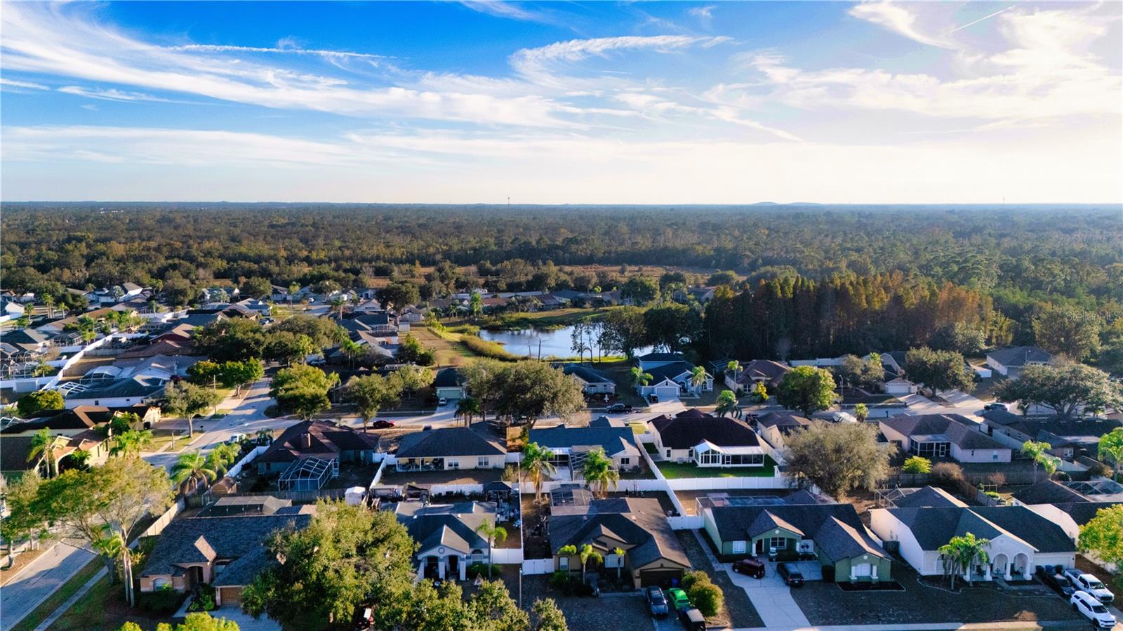 ECHO PARK - Residential