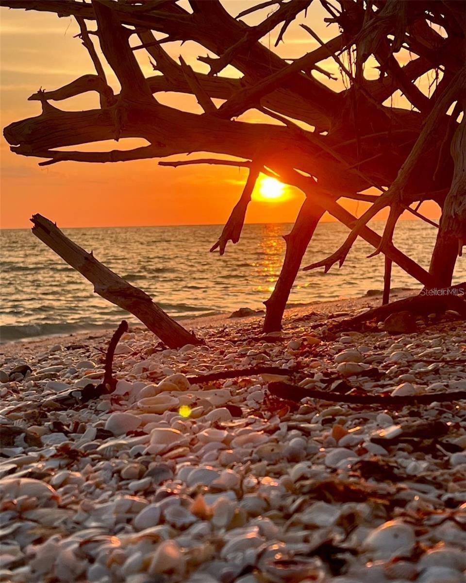 VENICE GARDENS - Residential