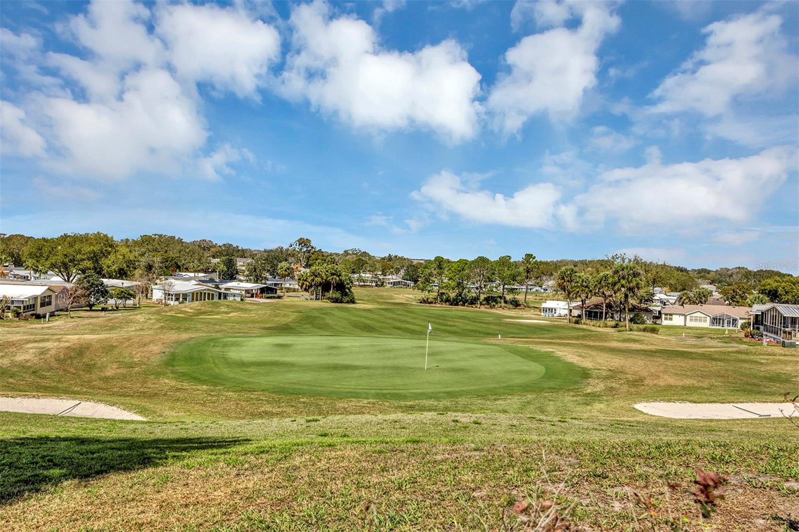 LADY LAKE ORANGE BLOSSOM GARDENS UNIT 09 - Residential