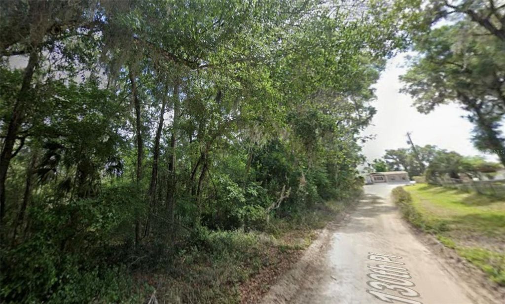 Photo of 45 SE 130th Place, Belleview, FL 34420 (MLS # OM710928)