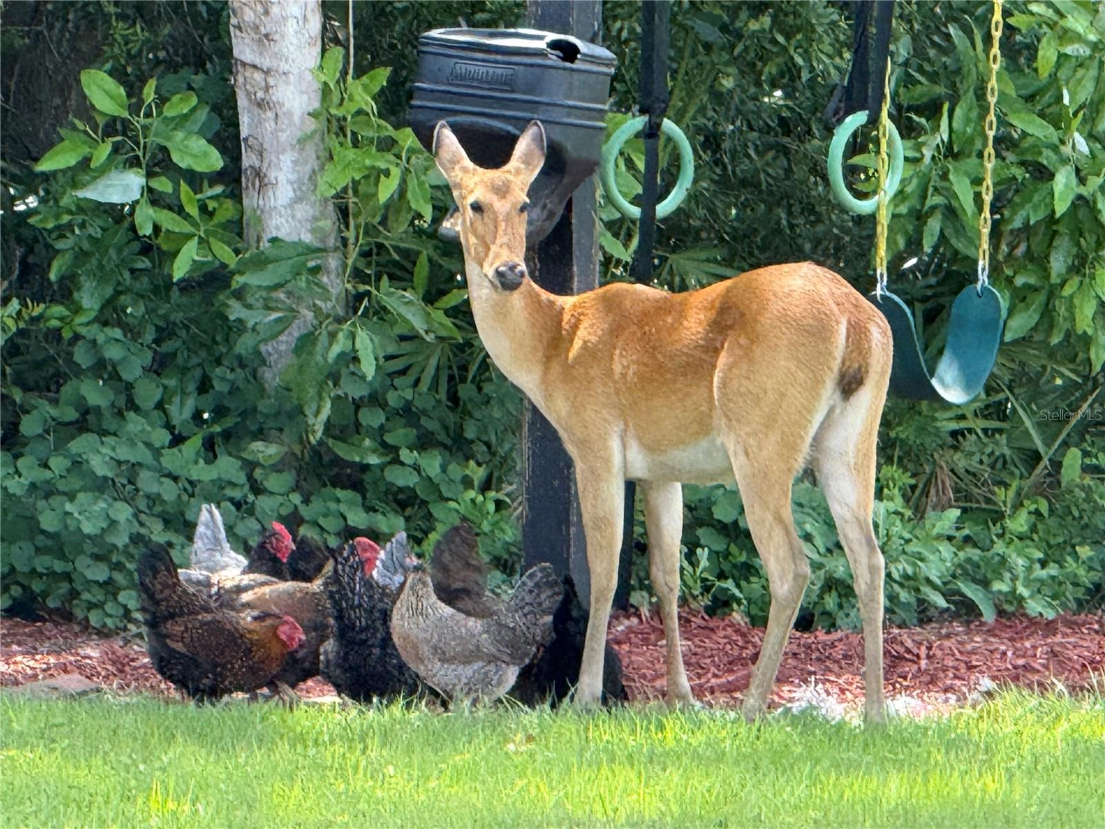 GROVELAND FARMS 11-23-24 - Residential