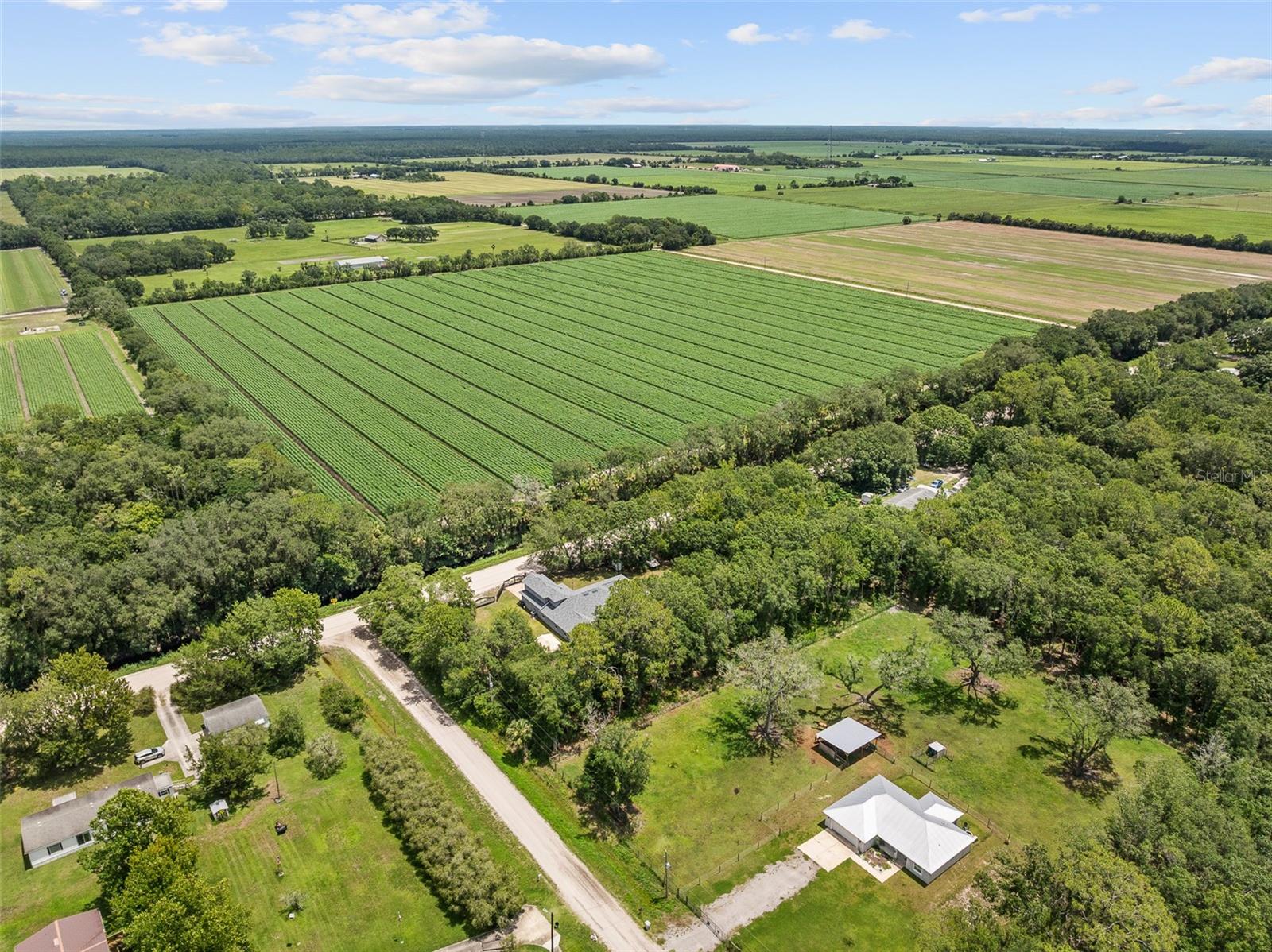 DAYTONA NORTH SUB - Residential