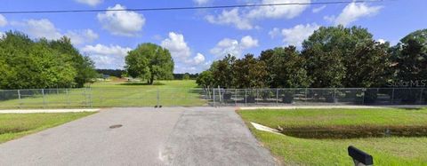 19139 GERACI RD ROAD LUTZ FL 33558