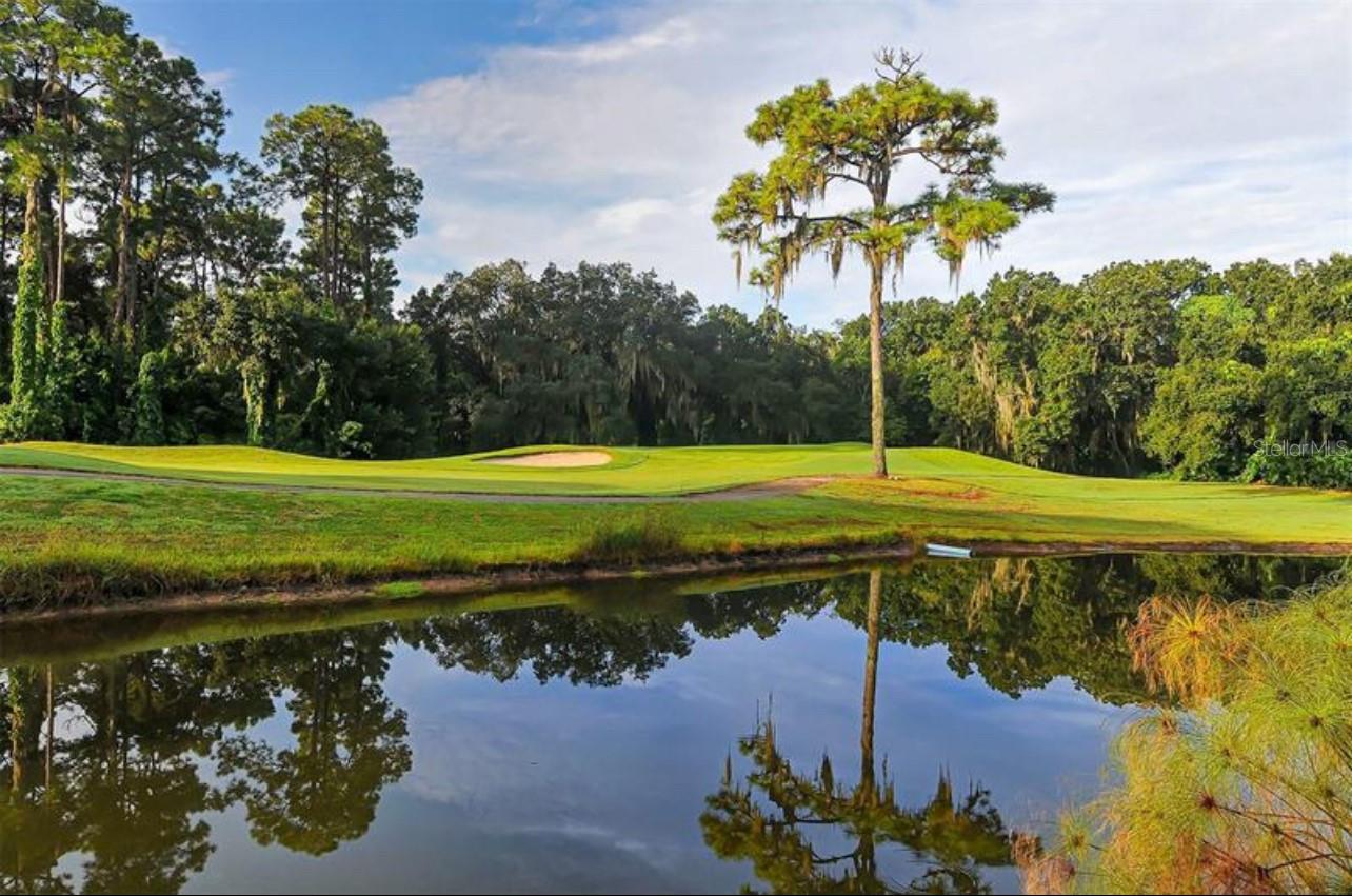 SHEFFIELD GREENE - Residential