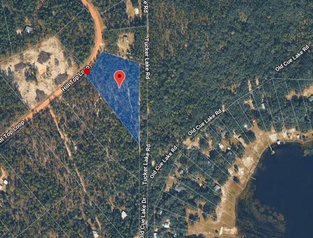 Photo of 181 Hill Top Loop, Hawthorne, FL 32640 (MLS # GC541403)