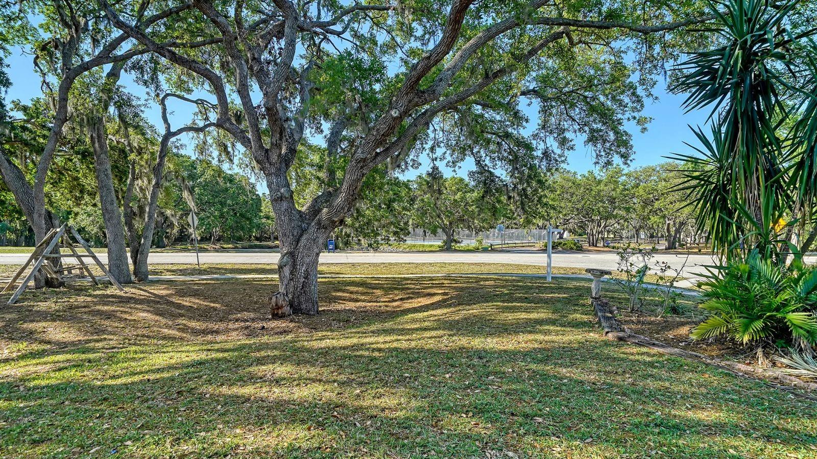 2385 TALL OAK COURT
