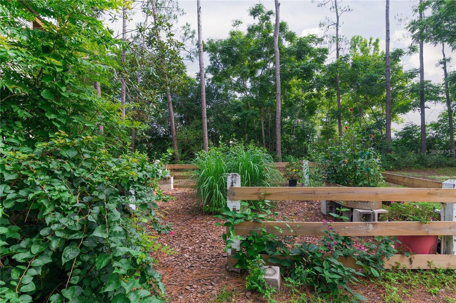 ZEPHYRHILLS COLONY COMPANY LANDS - Residential