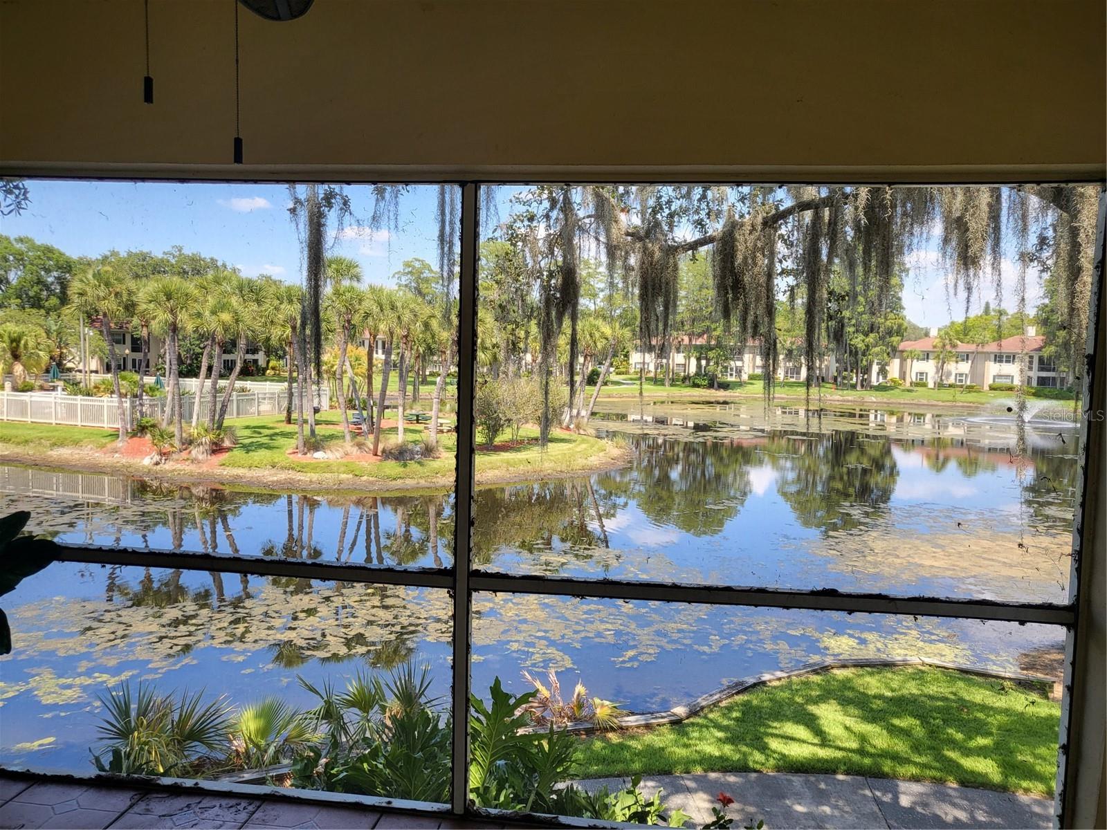 THE GRAND AT OLDE CARROLLWOOD - Residential Lease