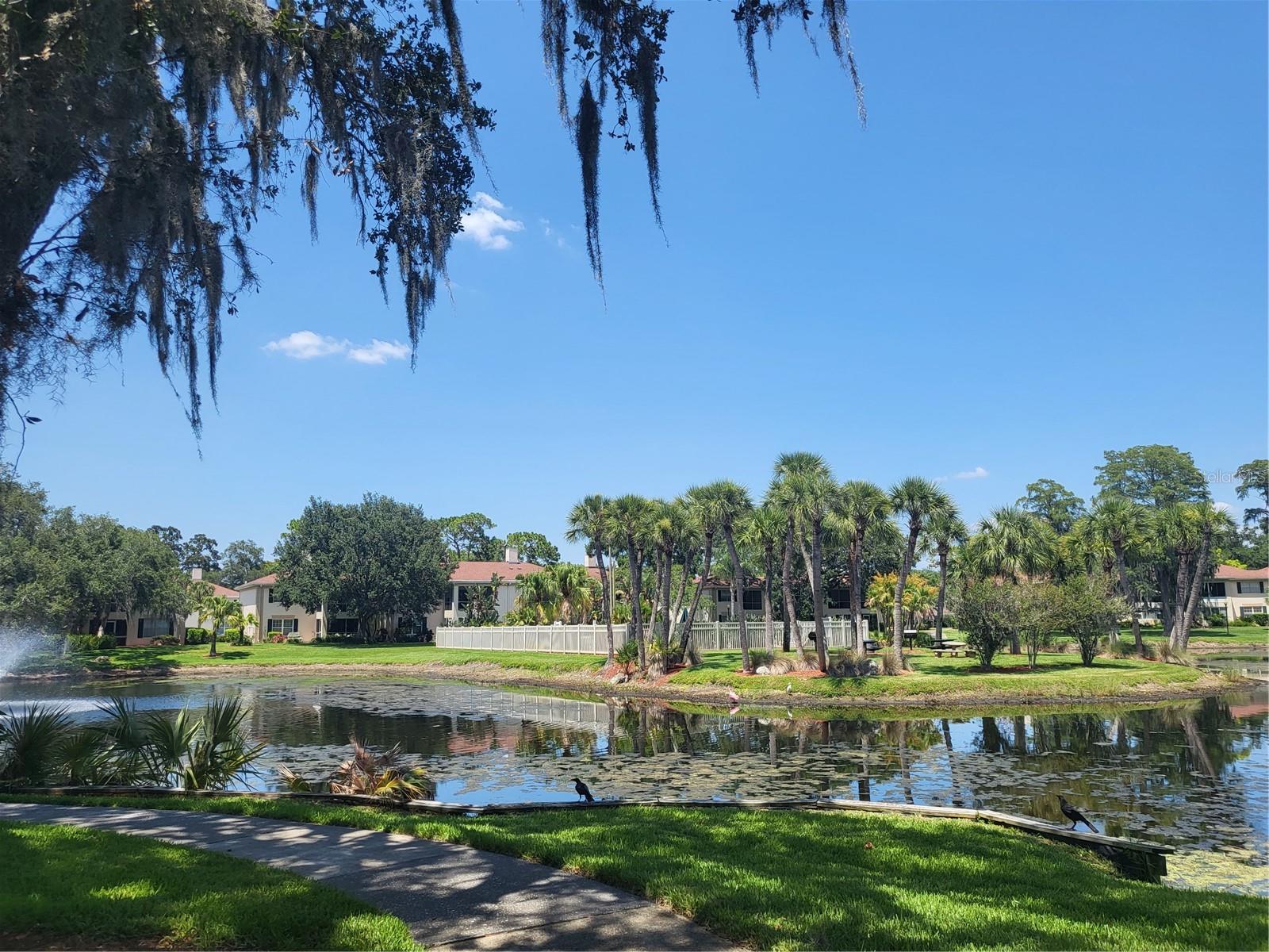 THE GRAND AT OLDE CARROLLWOOD - Residential Lease