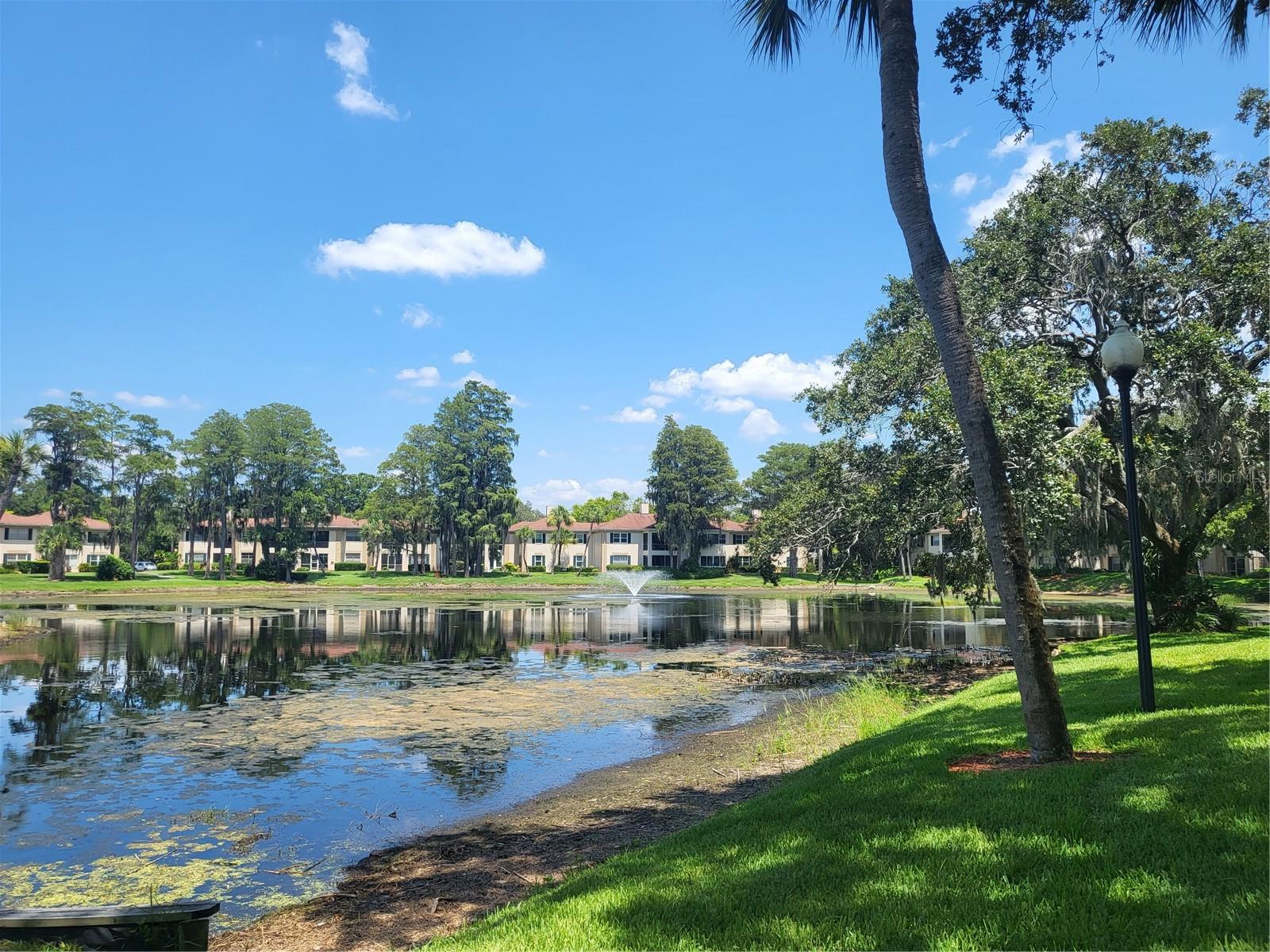 THE GRAND AT OLDE CARROLLWOOD - Residential Lease