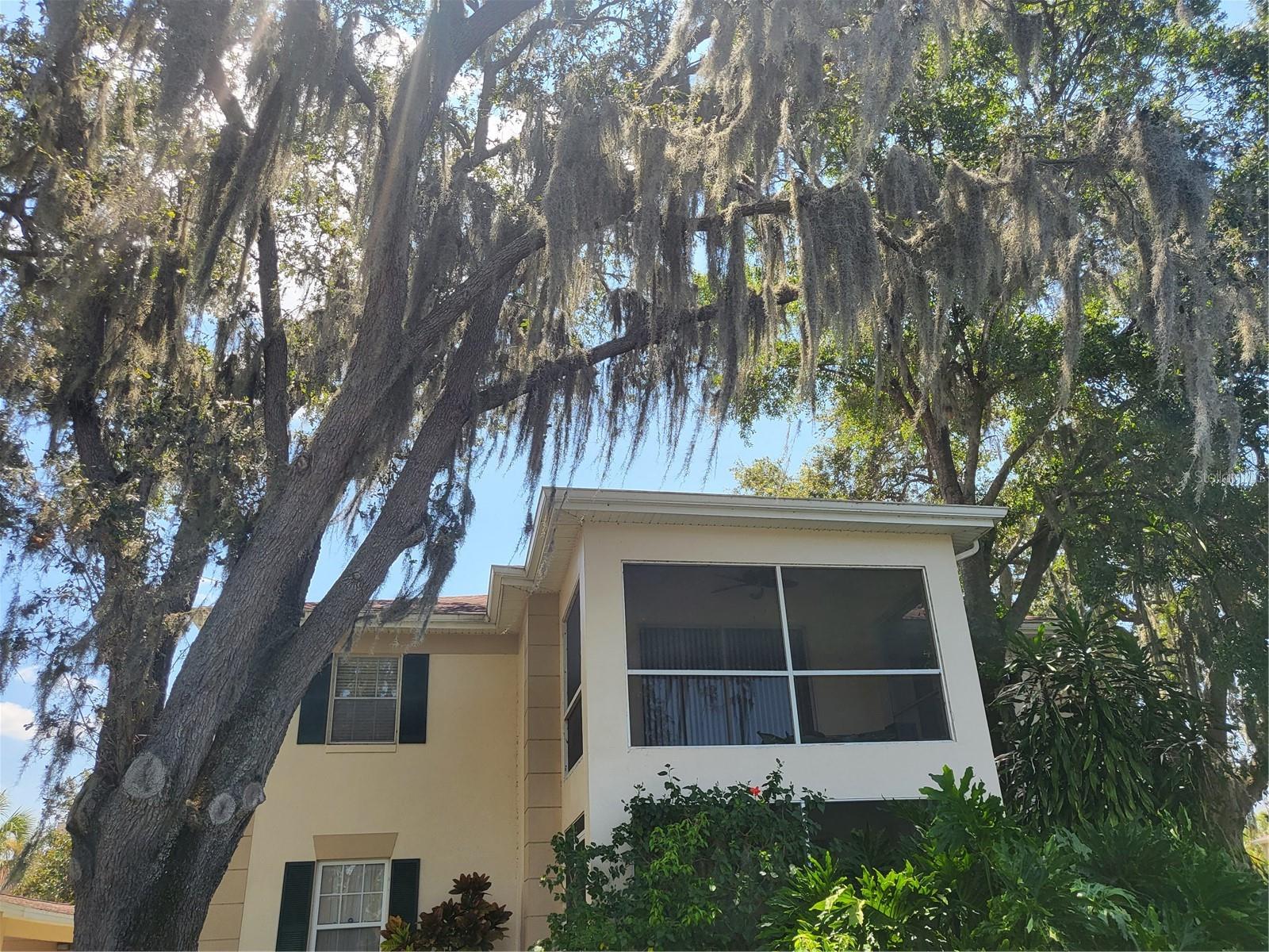 THE GRAND AT OLDE CARROLLWOOD - Residential Lease