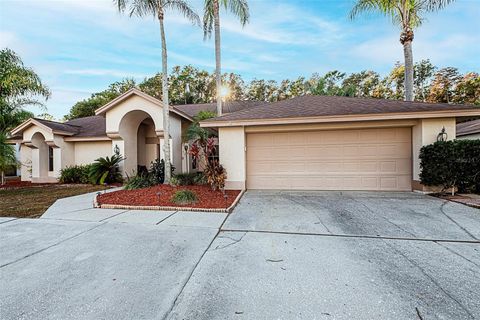 Photo of 450 Waterford Circle E, Tarpon Springs, FL 34688 (MLS # TB8452903)