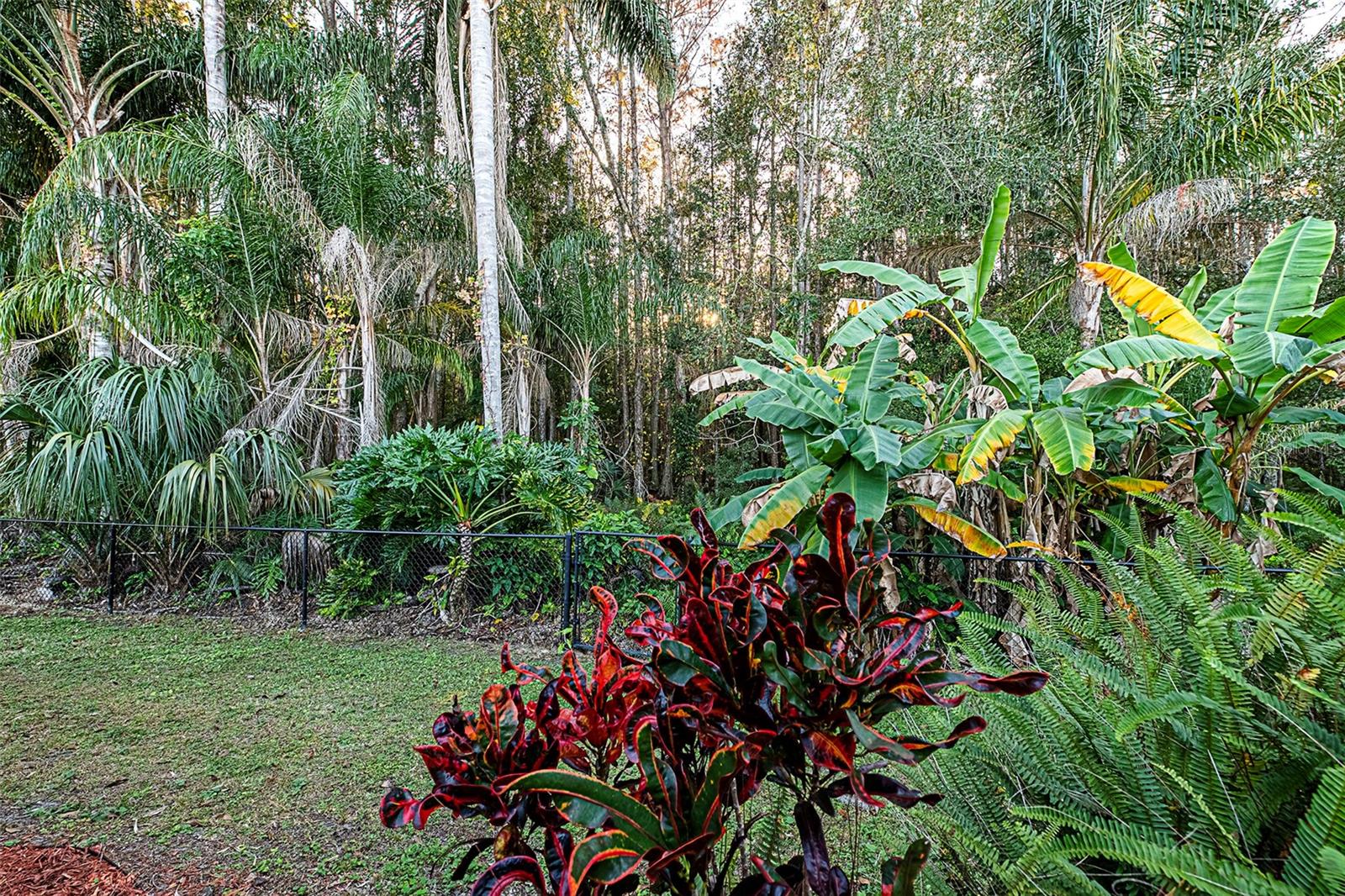 LAKESHORE VILLAGE AT WOODFIELD - Residential