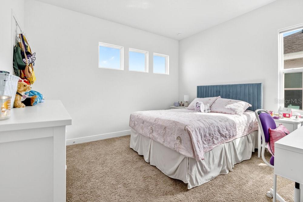 VILLAGES AT MINNEOLA HILLS - Residential