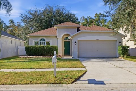 Photo of 10232 Grant Creek Drive, Tampa, FL 33647 (MLS # TB8444362)
