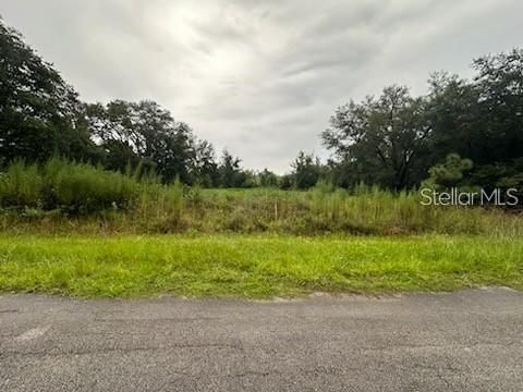 207 STARLING COURT POINCIANA FL 34759