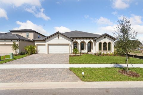 13432 BUFFALO MOUNTAIN AVENUE RIVERVIEW FL 33579