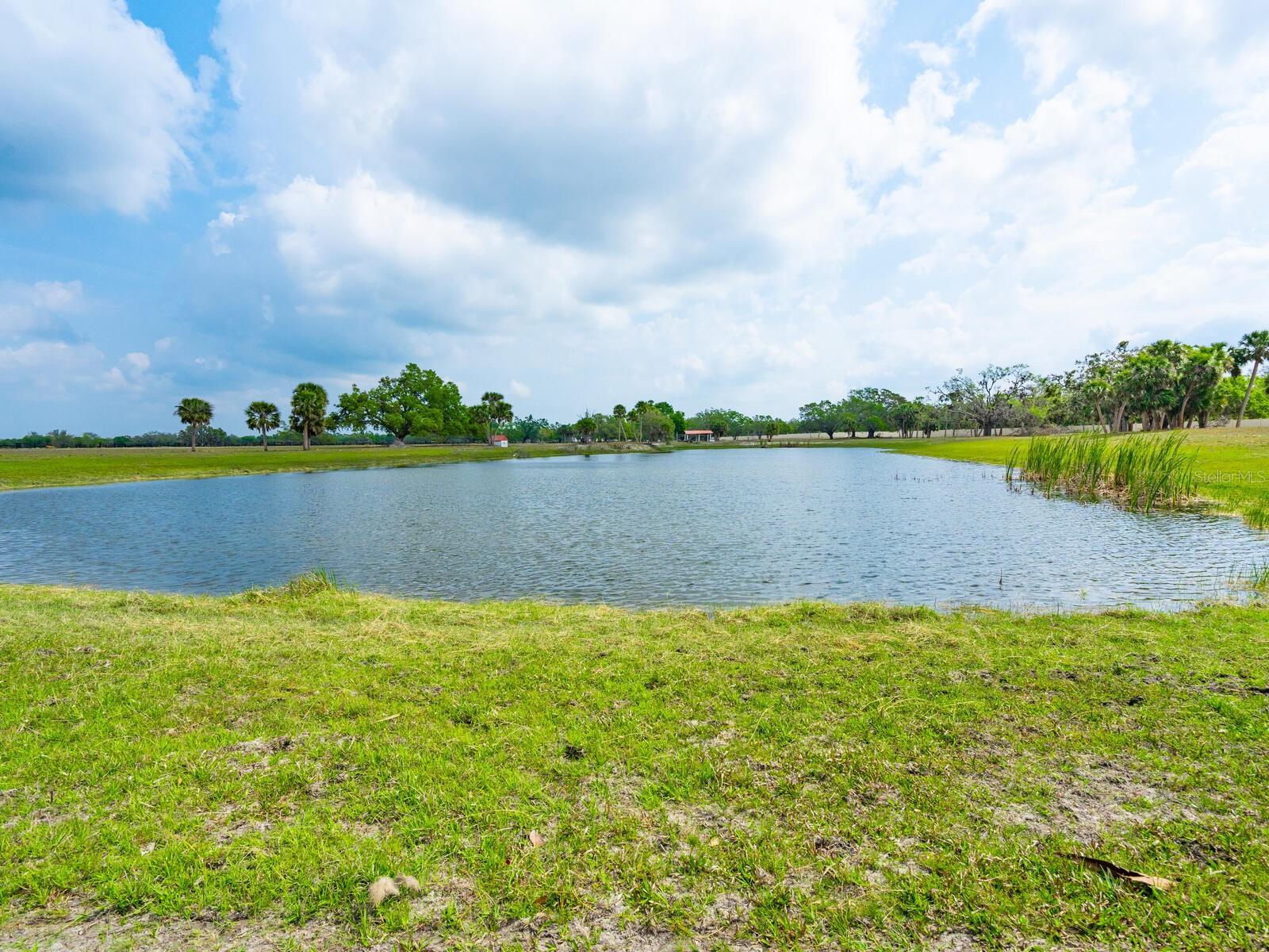 NORTH VENICE FARMS - Residential