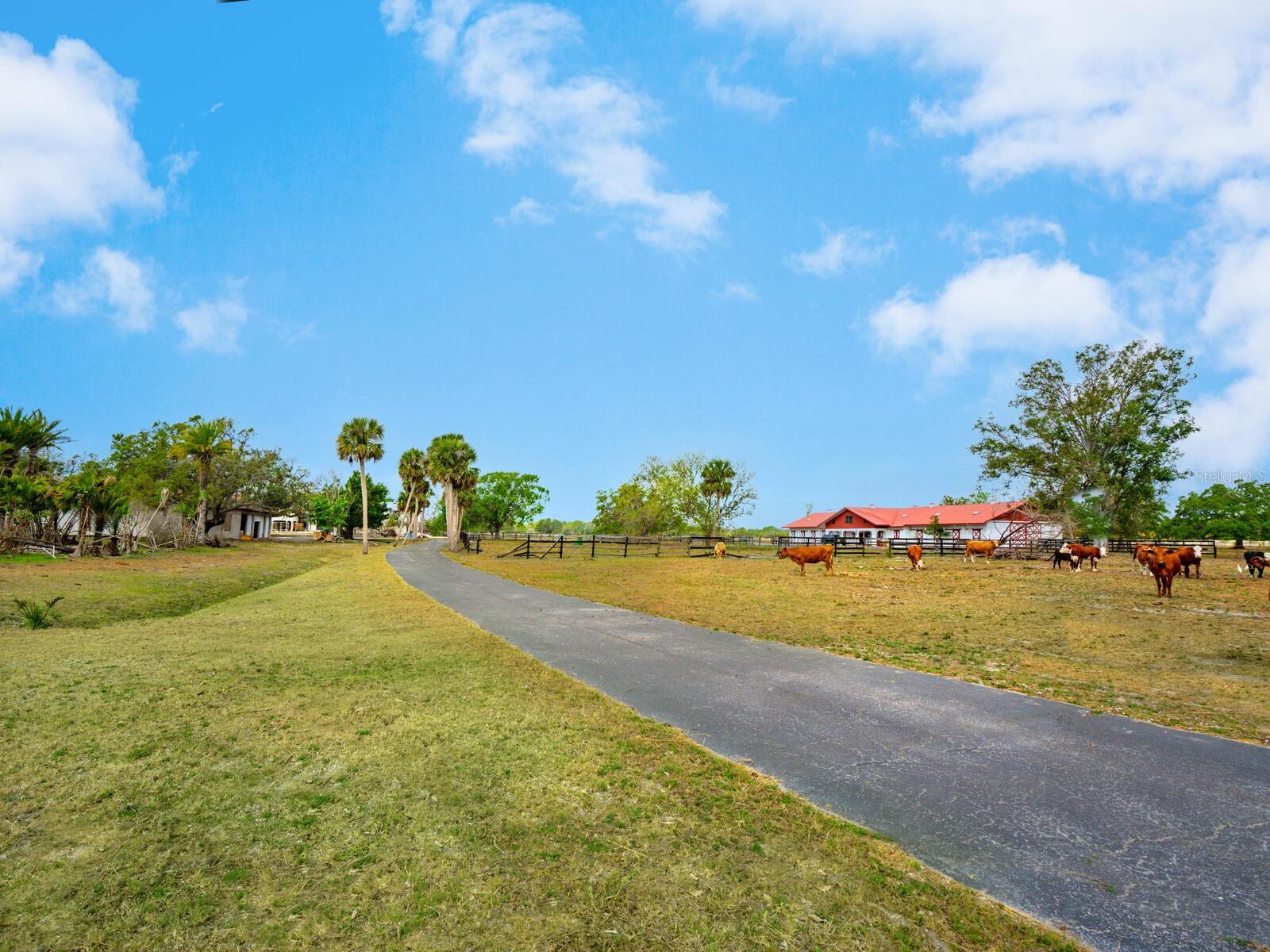 NORTH VENICE FARMS - Residential