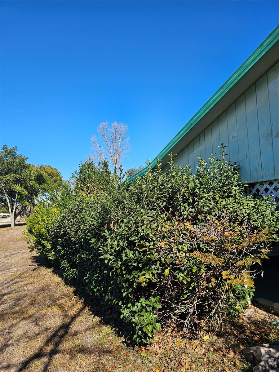 PINE RUN ESTATE - Residential