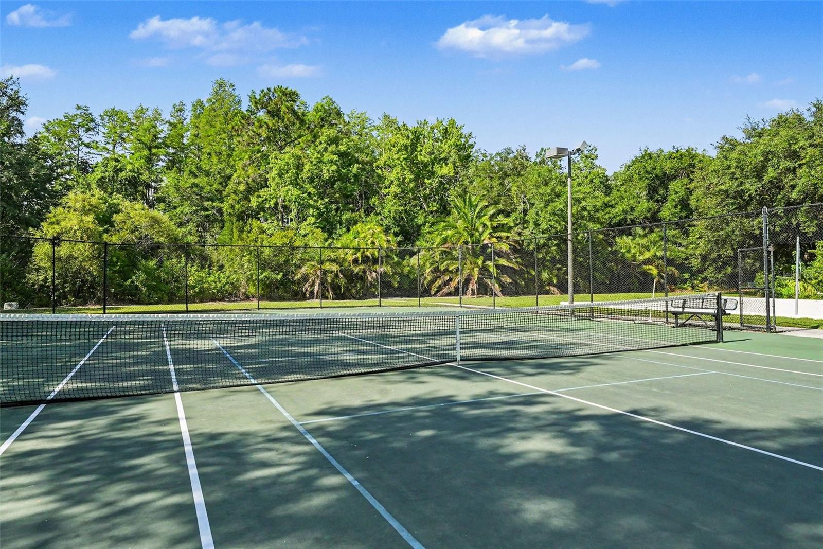 Virtually Staged. Situated on a quiet cul-de-sac in the gated communit – image 45