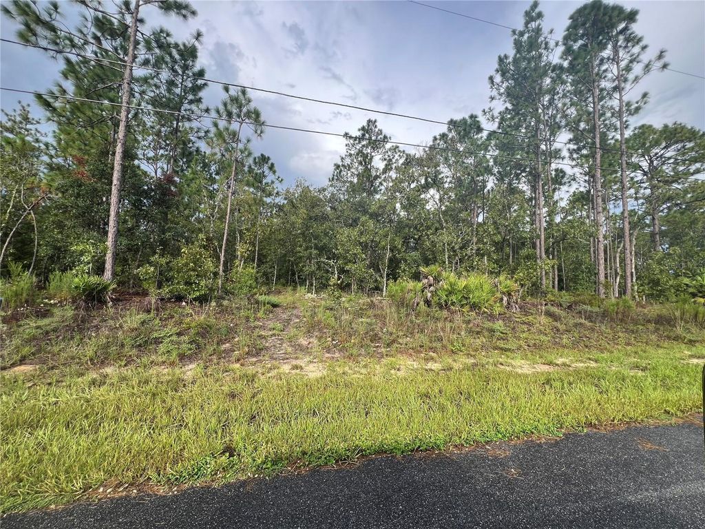 Photo of 7180 N Henderson Way, Dunnellon, FL 34434 (MLS # G5101579)