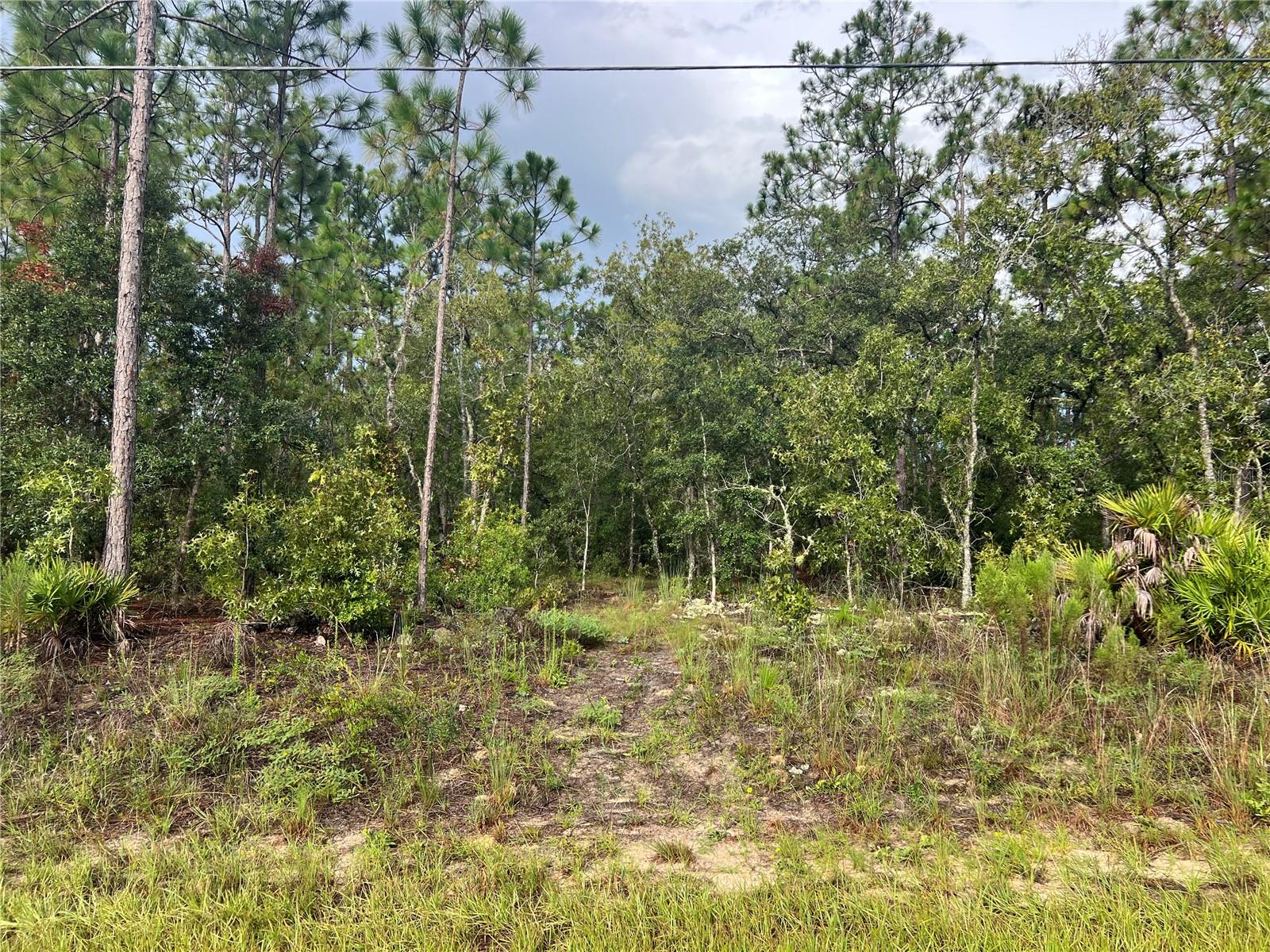 Beautiful buildable lot in the desirable Citrus Springs, with power nearby and water ran to the lot. Don't miss the opportunity to build your dream home here! Just a short drive to Dunnellon and Crystal River.