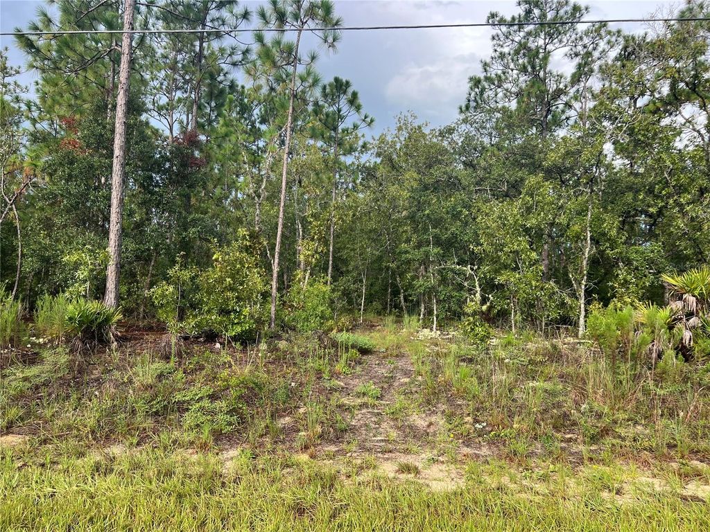 Photo of 7180 N Henderson Way, Dunnellon, FL 34434 (MLS # G5101579)