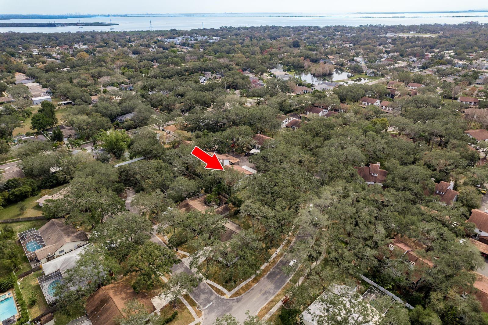 515 MISTLETOE COURT C