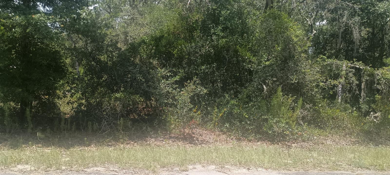 GUAVA PASS CROSSING 5