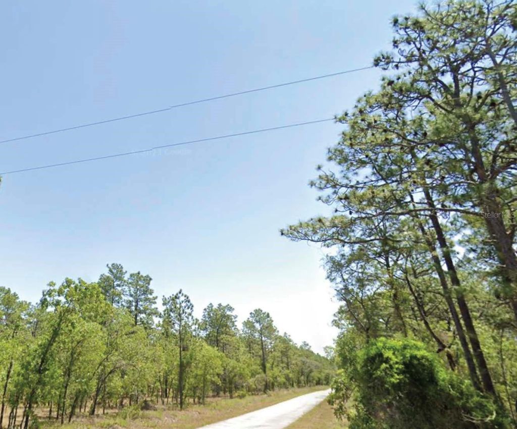 Photo of Summerfield Avenue, Dunnellon, FL 34431 (MLS # O6372700)