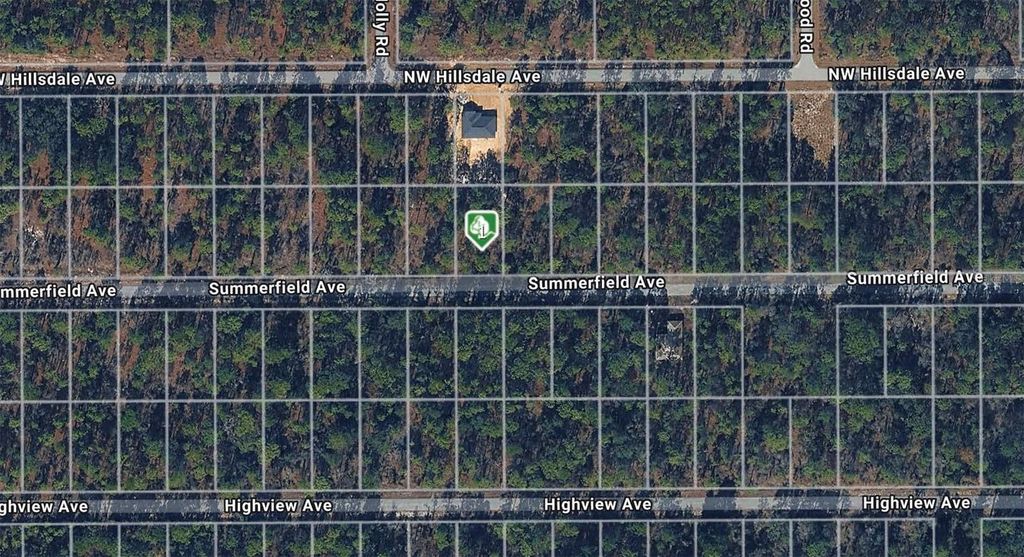Photo of Summerfield Avenue, Dunnellon, FL 34431 (MLS # O6372700)
