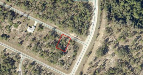 TBD MALAUKA DRIVE OCKLAWAHA FL 32179