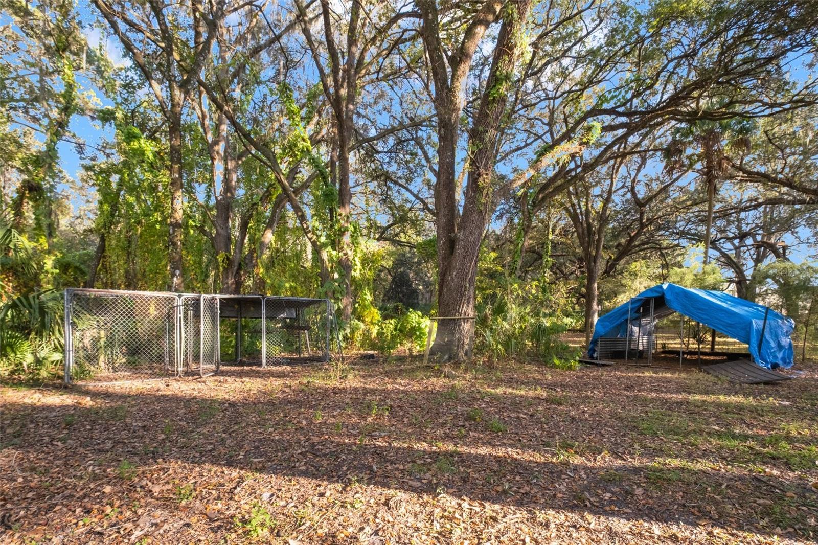 CAMPS CASTLE - Residential