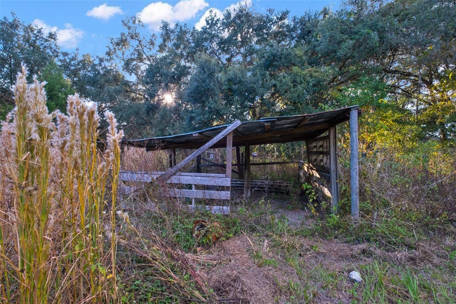 CAMPS CASTLE - Residential