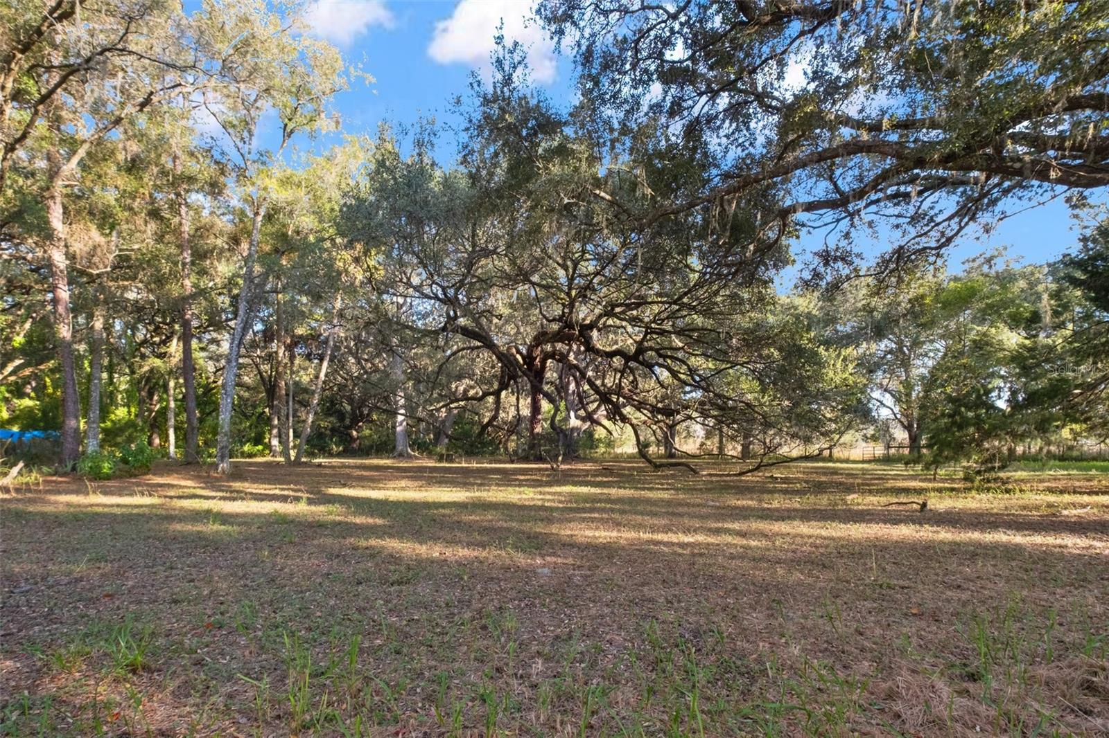 CAMPS CASTLE - Residential